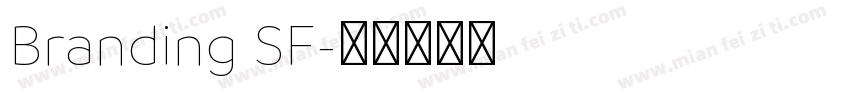 Branding SF字体转换